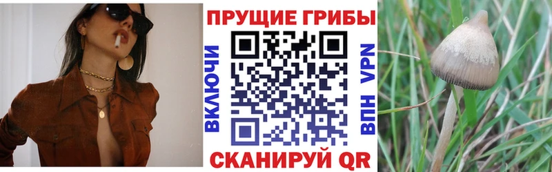 как найти закладки Высоковск Галлюциногенные грибы мухоморы